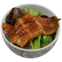 UNAGI DON